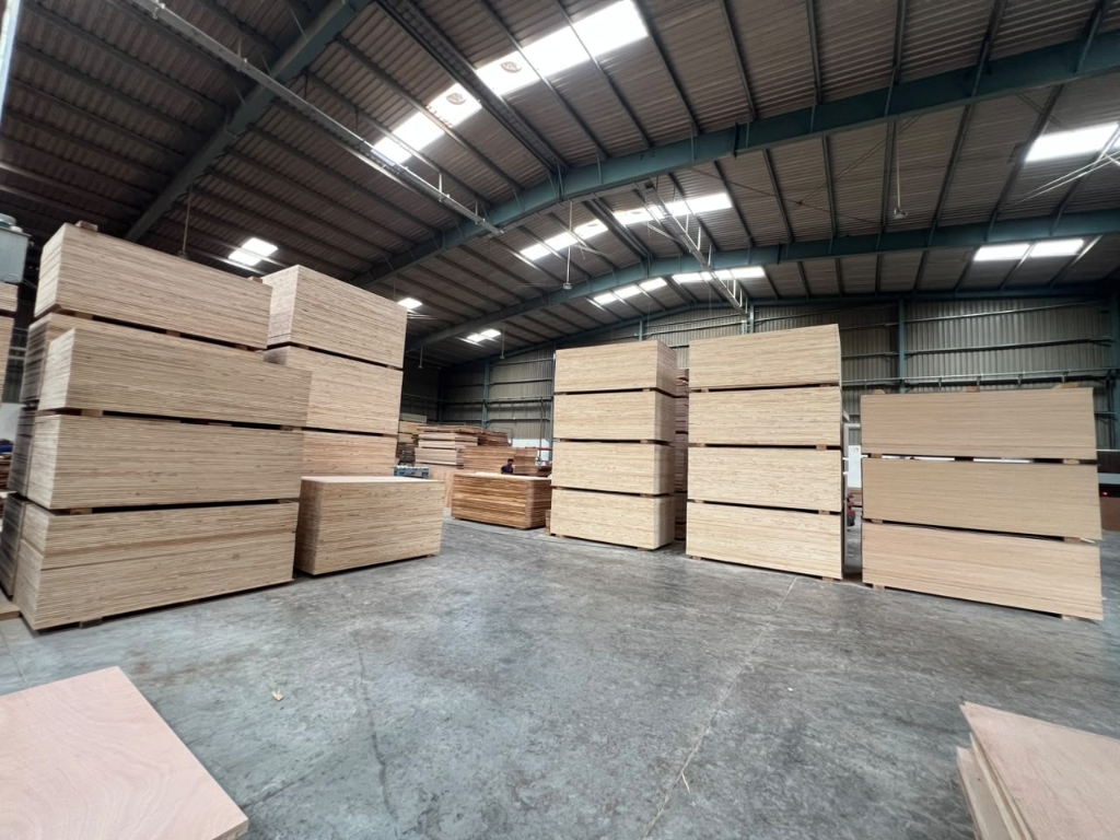 Manufacturing Facility 11