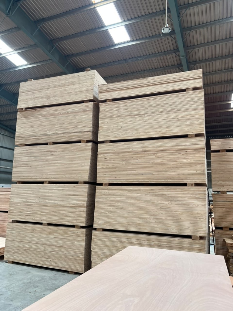 Manufacturing Facility 12