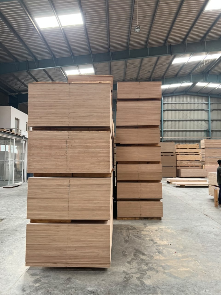 Manufacturing Facility 13